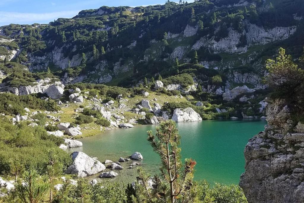 'Dasbergblick' Altaussee Zewnętrze zdjęcie